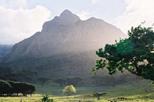 a visit to Cape Town