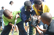 Zimbabwe - tree planting