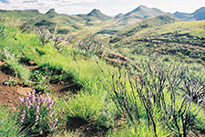 Lesotho day 3
