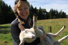 Aug - sheep