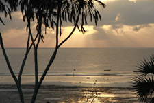 Feb - coast