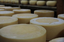 Jul - Browns Cheese