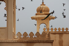 Jul - Udaipur