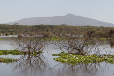 Feb - Naivasha Yacht Club