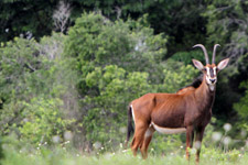 May - Shimba Hills