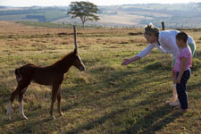 Aug - at the fazenda