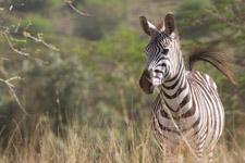 Sep - Nairobi National Park