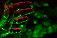 Dec - Christmas lights