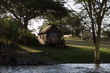 Mar - hippos at Naivasha
