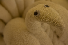 Aug - Towel Animals