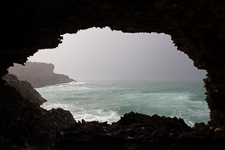 Nov - Animal Flower cave