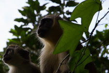 Nov - Wildlife Reserve