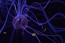Dec - Bellingham Spark Museum