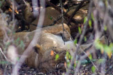 Aug - Nairobi National Park