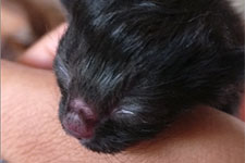 March - kittens
