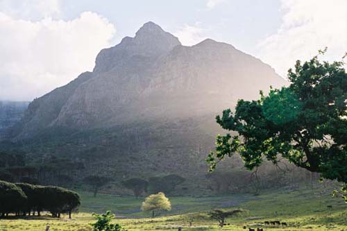 Table Mountain